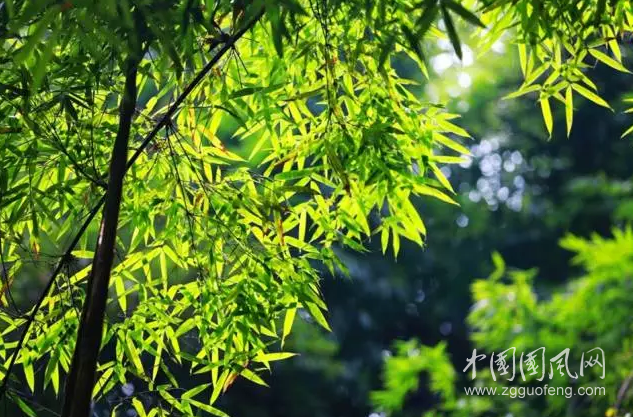  讓每一段生活充實、精彩、有意義