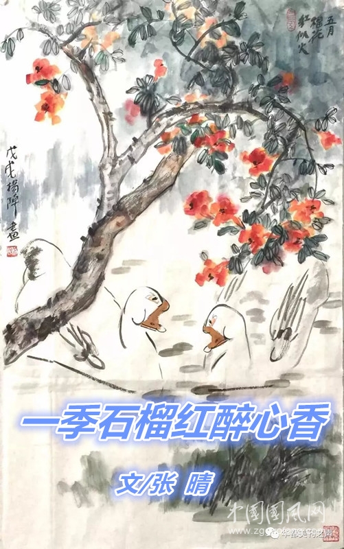 一季石榴紅醉心香（文   張晴）