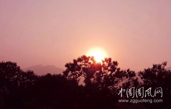 初 見(jiàn)
