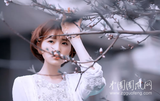 QQ截圖20180712195641.png