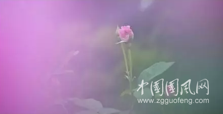 QQ截圖20180719160149.png
