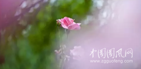 QQ截圖20180719160143.png