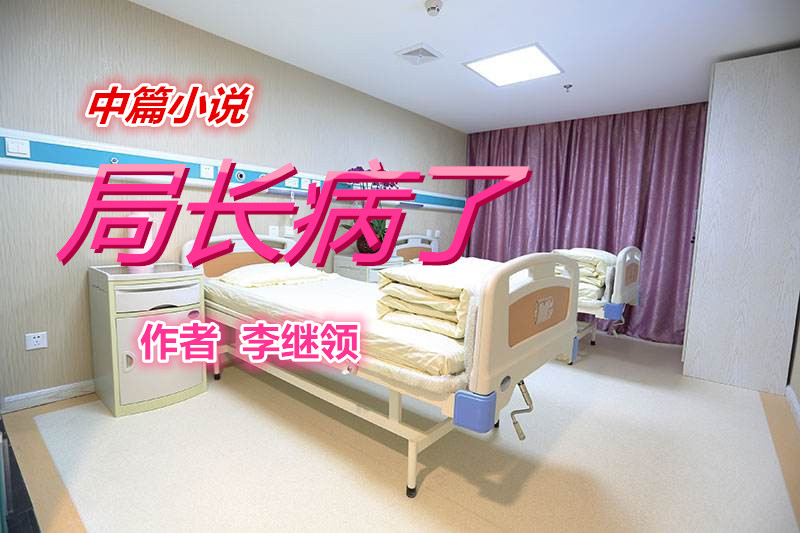  局長(zhǎng)病了（中篇小說(shuō)）【作者  李繼領(lǐng)】