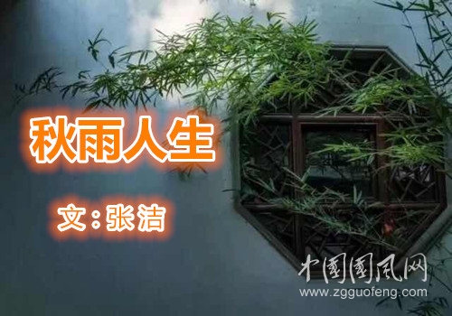  秋雨人生（文  張潔）