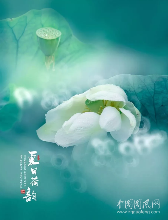 QQ截圖20180917181046.png