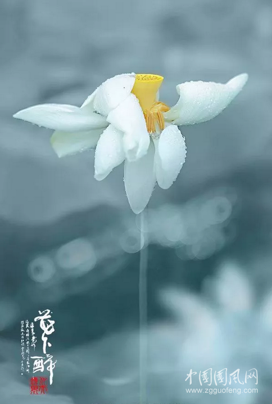 QQ截圖20180917181248.png