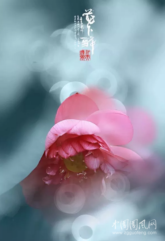 寫給秋天，寫給你