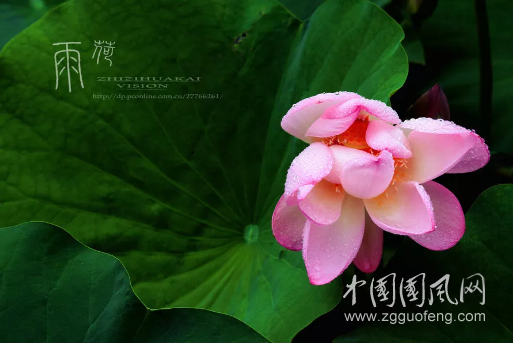 QQ截圖20180917181355.png