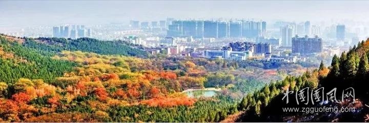 綠金淮北好地方