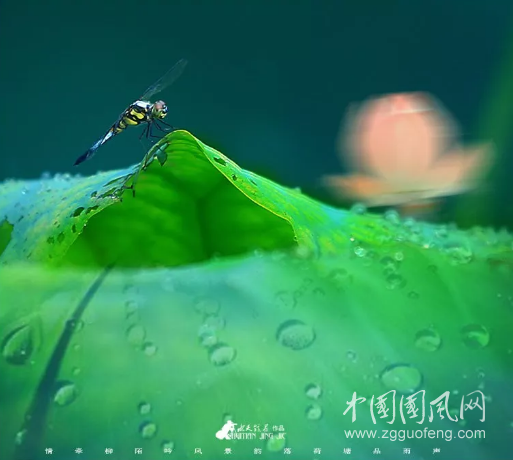 QQ截圖20180917181228.png