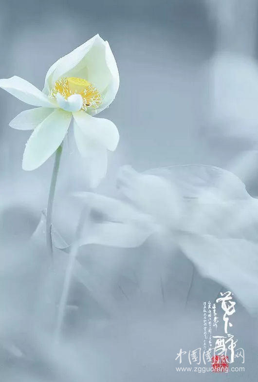QQ截圖20180917181330.png