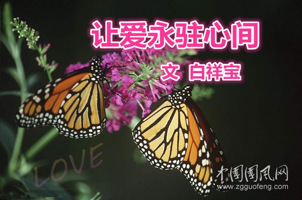 讓愛永駐心間（文  白祥寶）