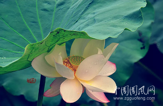 年華無痕，青春莫等