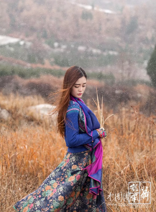 QQ截圖20181208033217.png