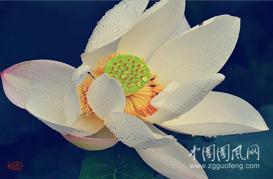 QQ截圖20181025164827.png