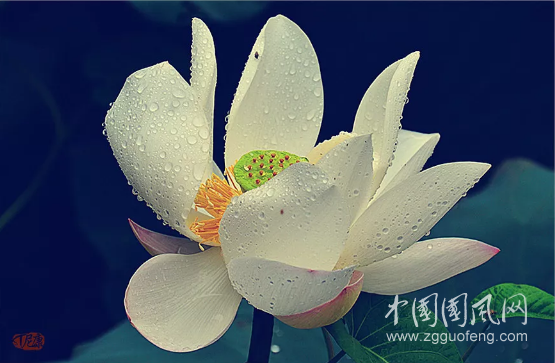 QQ截圖20181025164842.png