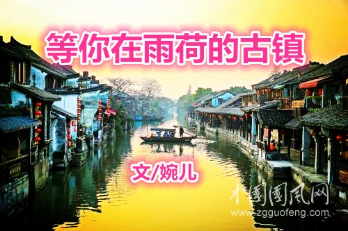  等你在雨荷的古鎮(zhèn)（文/婉兒）