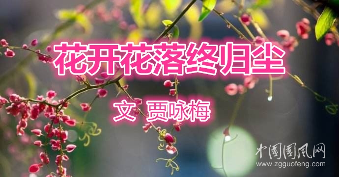 花開花落終歸塵（文  賈詠梅）