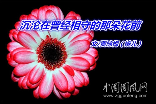  沉淪在曾經(jīng)相守的那朵花前（文  賈詠梅）