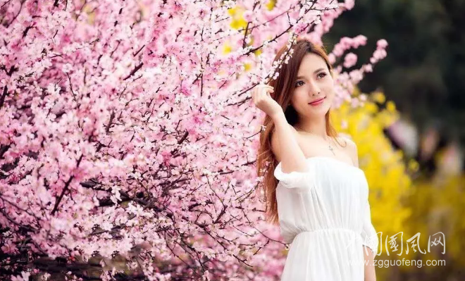 QQ截圖20190403140751.png