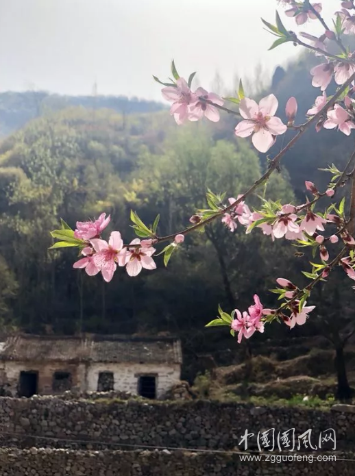 QQ截圖20190413143531.png