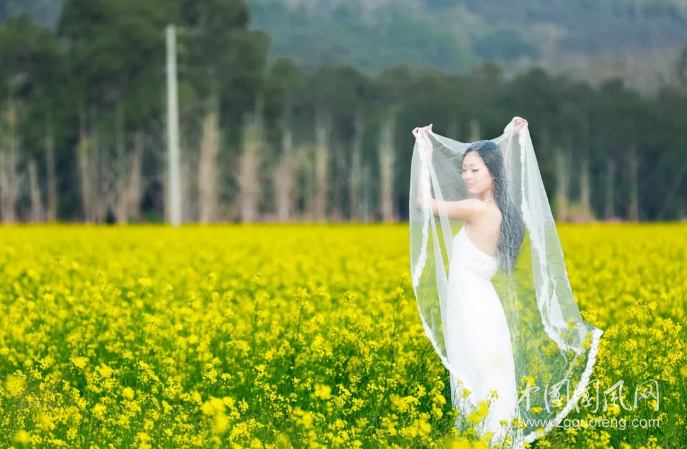 QQ截圖20190412181745.png