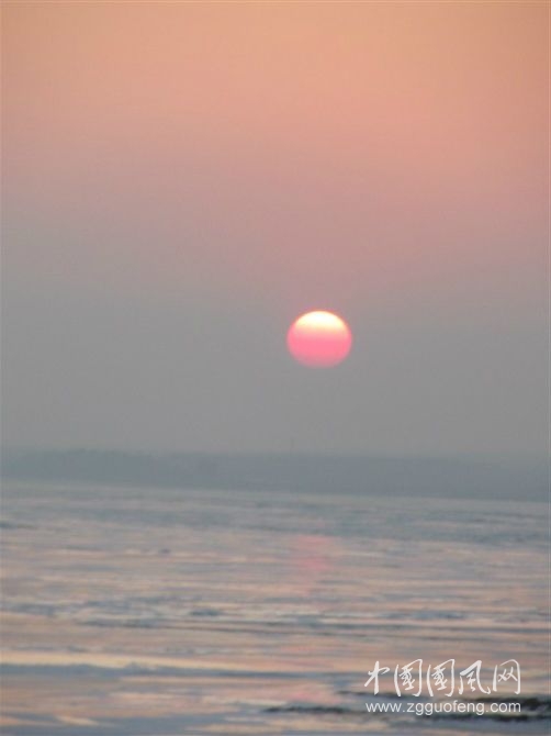 春陽(yáng).jpg