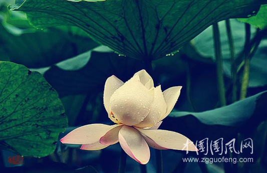 QQ截圖20190426182640.png