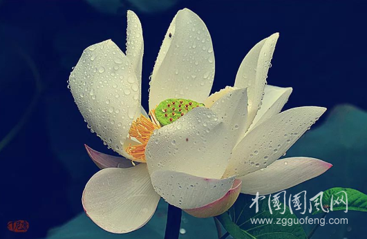 QQ截圖20190426182649.png