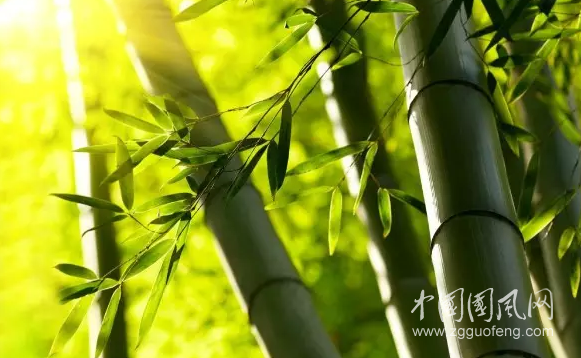 QQ截圖20190507174941.png