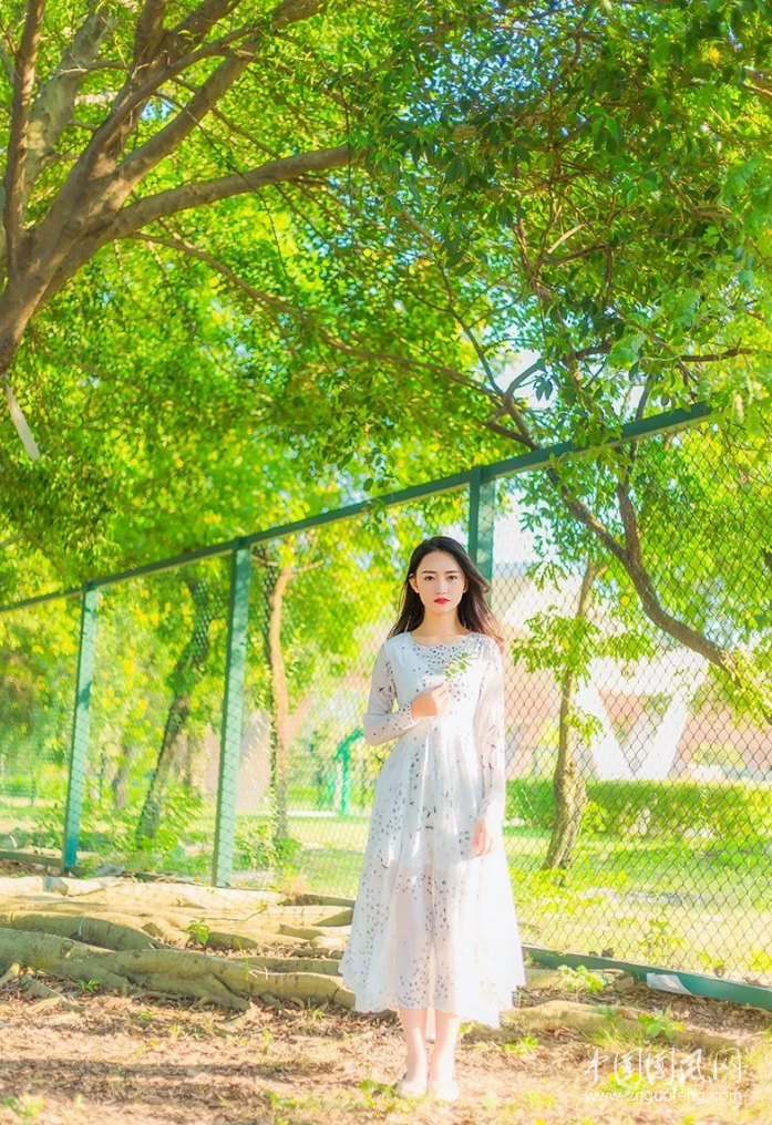 QQ截圖20190510175215.png
