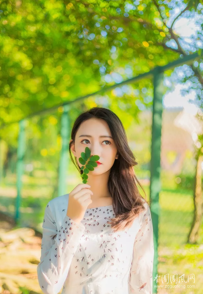 QQ截圖20190510175230.png