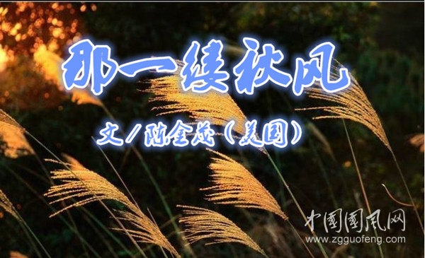  那一縷秋風（文／陳金茂）