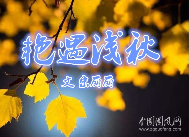  艷遇淺秋（文 宋麗麗）