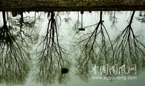 倒影不倒映