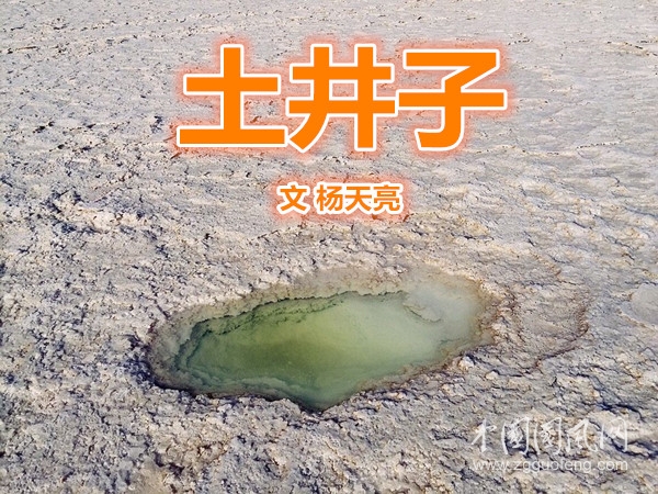  土井子（文 楊天亮）