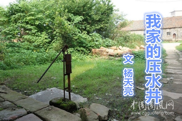  我家的壓水井（文 楊天亮）