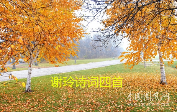 71f307ab742b6156482d9b1719e3826e_TP4545_08_副本.jpg