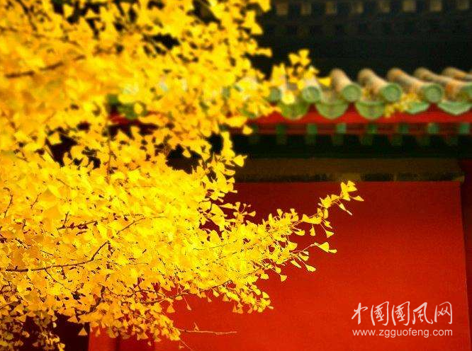 QQ截圖20191010202145.png