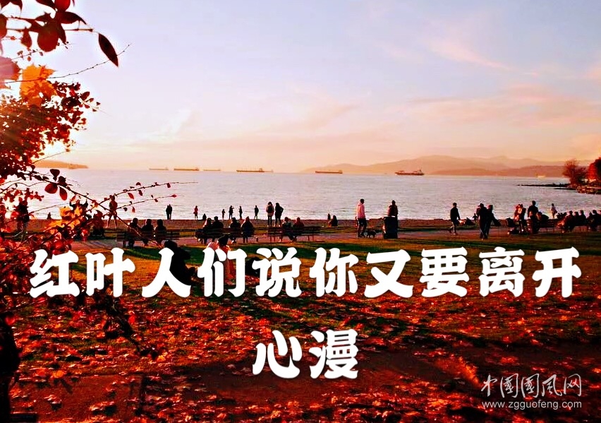 hongyan微信圖片_20191024184752.jpg