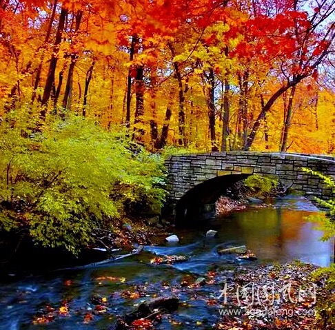 紅衣風景微信圖片_20191024184858.jpg