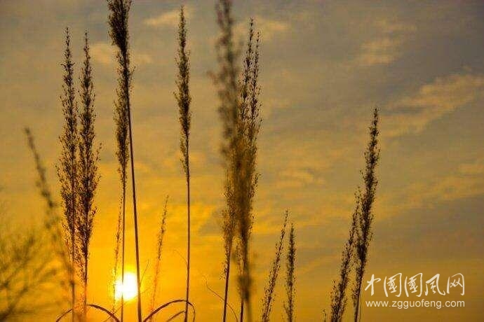 午后有光.jpg