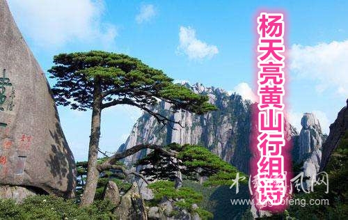   楊天亮黃山行組詩(四)