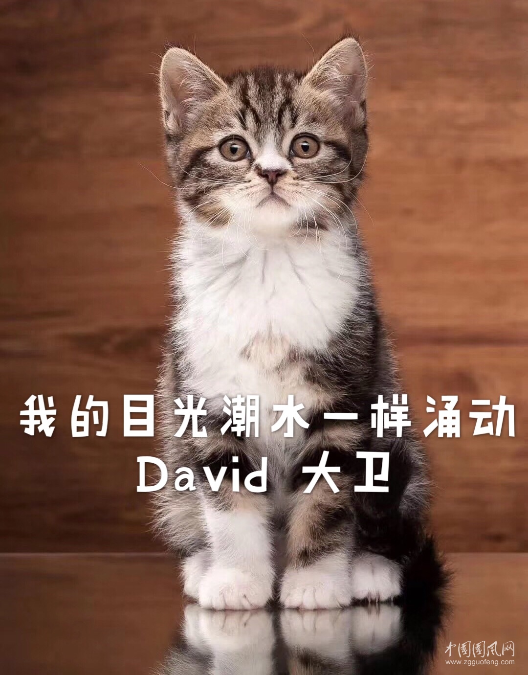 大衛(wèi)詩(shī)圖微信圖片_20191031202626.jpg