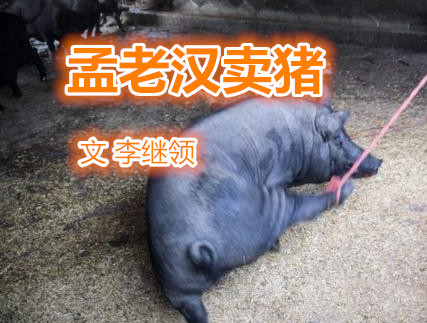 孟老漢賣(mài)豬（文 李繼領(lǐng)）