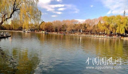 入冬前，在公園