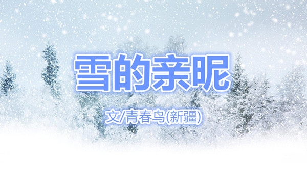  雪的親昵（文/青春鳥）