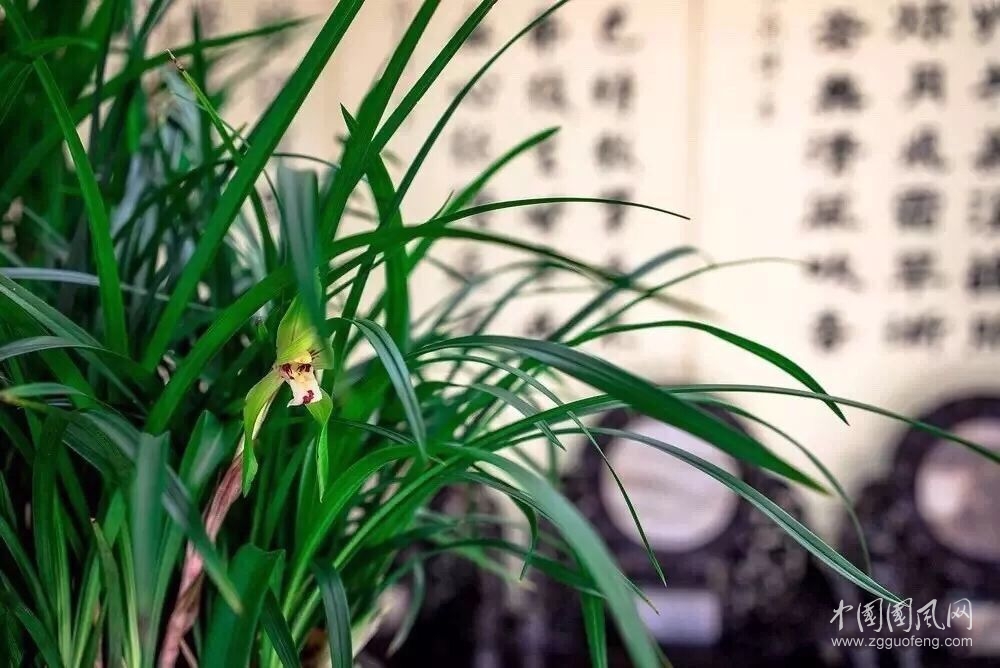  我依然渴望著緣來