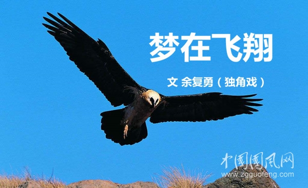 夢在飛翔（文  余復(fù)勇）