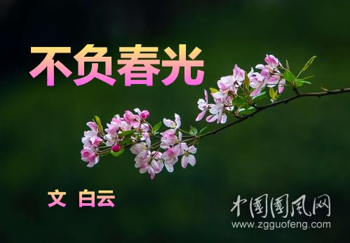  不負(fù)春光（文  白云）